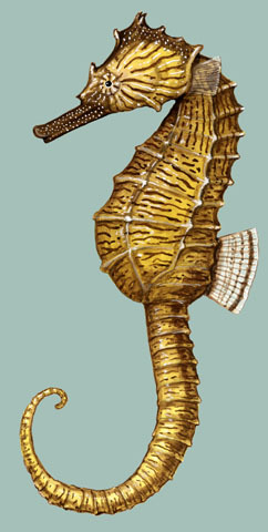 Euteleostomi