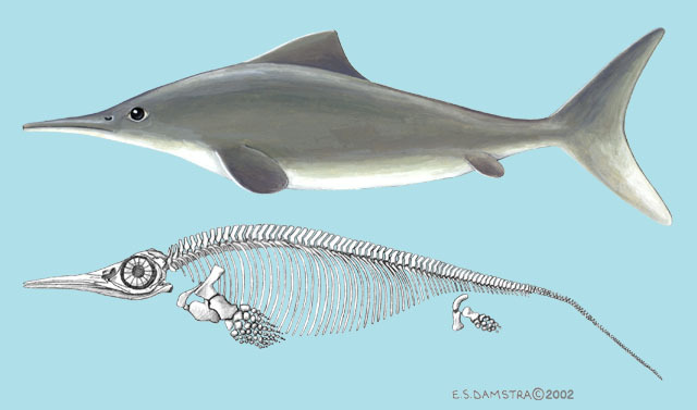 Opthalmosaurus_Ichthyosaur