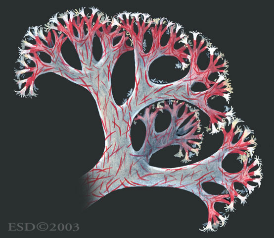 Photo of Dendronephthya hemprichi