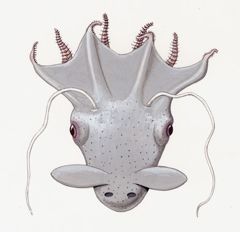 Eumetazoa