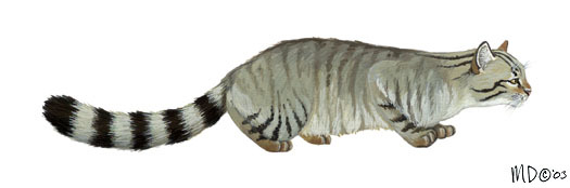 Deuterostomia