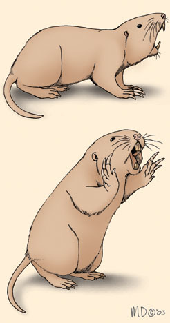 pocket_gopher_threat