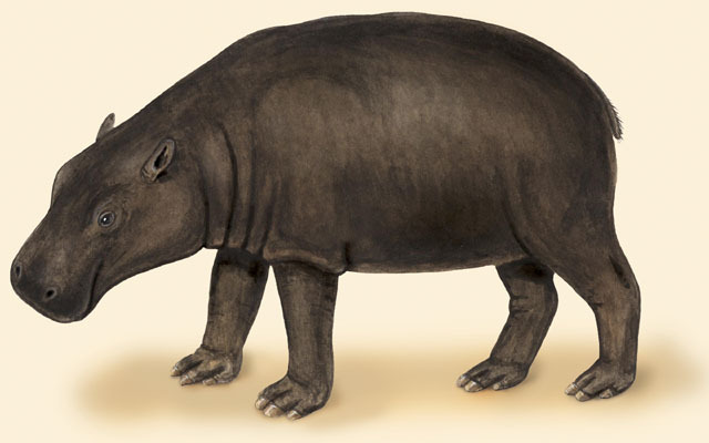 Deuterostomia