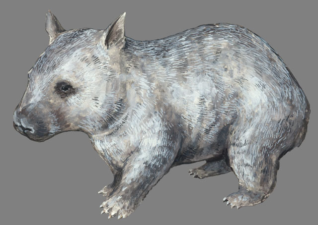 Lasiorhinus_krefftii